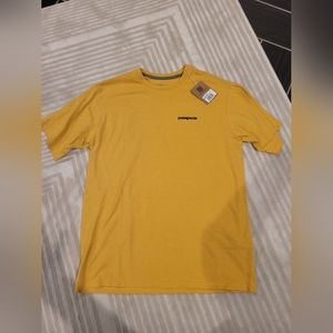 Patagonia Men's p-6 Logo Responsibili tee